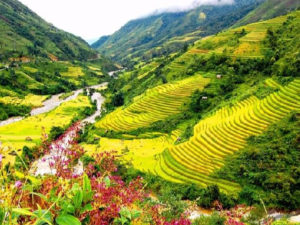 Du lịch mùa Thu - Tour Du lịch Vịnh Hạ Long - Yên Tử - Sa Pa - Bản Cát Cát 5 355