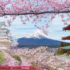 Du Lịch Nhật Bản - Tokyo - Núi Phú Sỹ - Nagoya 1 42