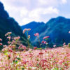 Tour Miền Bắc Hà Nội - Hà Giang - Yên Minh - Lũng Cú - Đồng Văn 1 g8